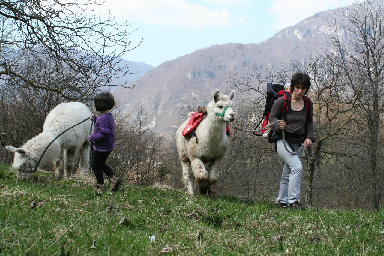 مبيت وإفطار Lastebasse Il Capriolo Felice - Agriturismo المظهر الخارجي الصورة